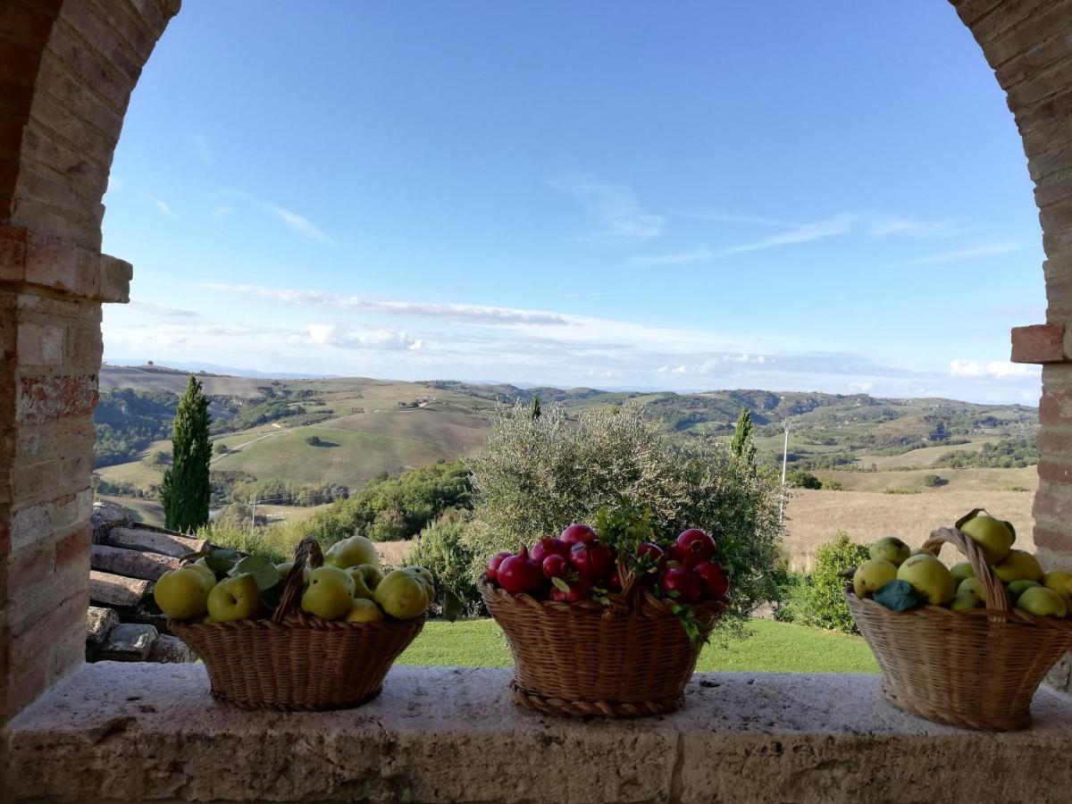 Agriturismo Monsole - Montalcino Eksteriør billede