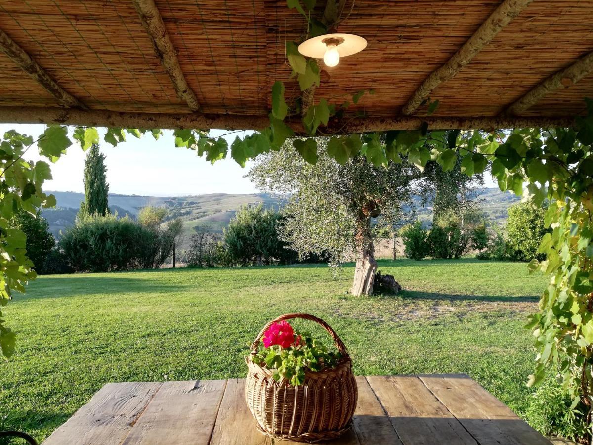 Agriturismo Monsole - Montalcino Eksteriør billede