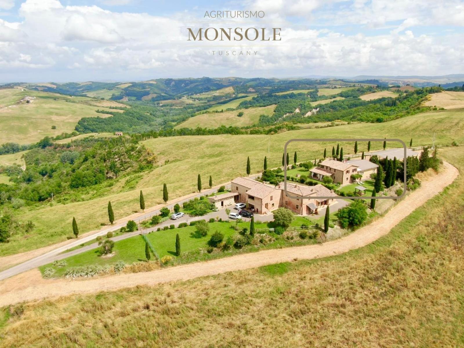 Agriturismo Monsole - Montalcino Eksteriør billede